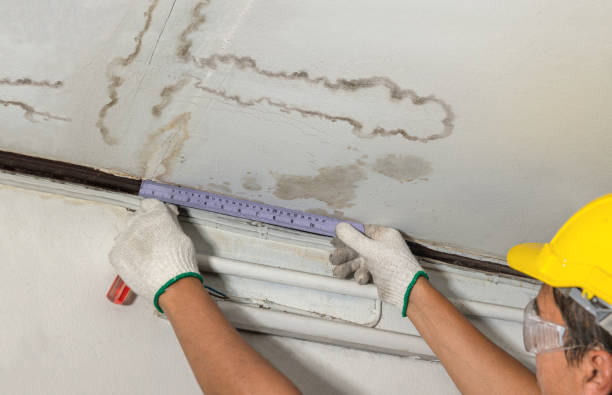 Affordable Water Damage Repair solutions in Hazlet, NJ